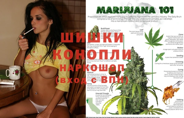 эйфоретик Балахна