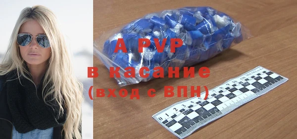 прущие грибы Сатка