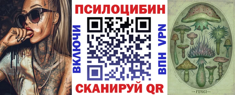 Псилоцибиновые грибы Cubensis  Тында 